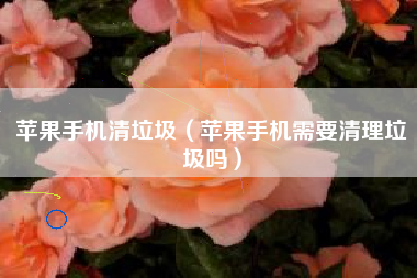 苹果手机清垃圾（苹果手机需要清理垃圾吗）
