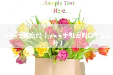 iphone手机密码（iphone手机密码忘了怎么办）
