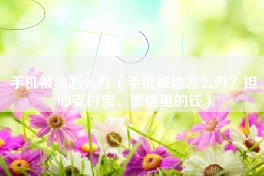 手机被偷怎么办（手机被偷怎么办？担心支付宝、微信里的钱）