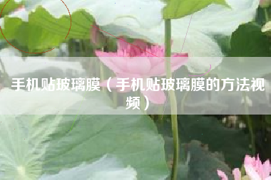手机贴玻璃膜（手机贴玻璃膜的方法视频）