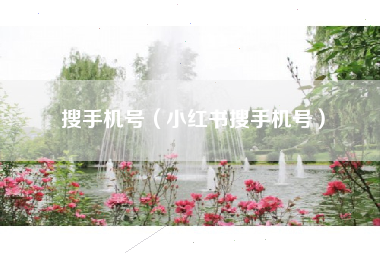 搜手机号（小红书搜手机号）