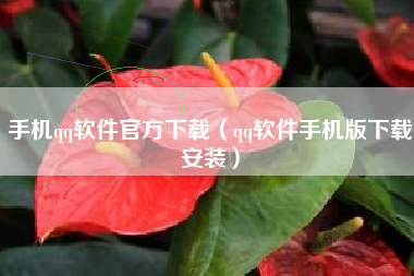 手机qq软件官方下载（qq软件手机版下载安装）