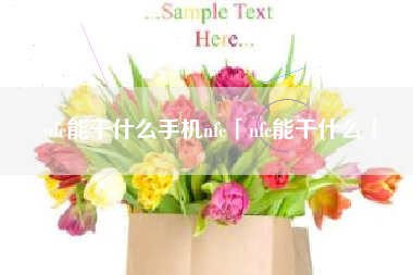 nfc能干什么手机nfc「nfc能干什么」