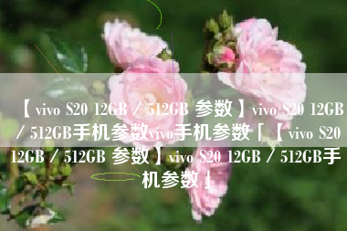 【vivo S20 12GB／512GB 参数】vivo S20 12GB／512GB手机参数vivo手机参数「【vivo S20 12GB／512GB 参数】vivo S20 12GB／512GB手机参数」