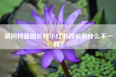 请问抖音团长和小红书团长有什么不一样？