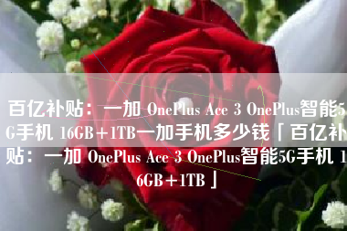 百亿补贴：一加 OnePlus Ace 3 OnePlus智能5G手机 16GB+1TB一加手机多少钱「百亿补贴：一加 OnePlus Ace 3 OnePlus智能5G手机 16GB+1TB」