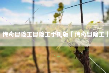 传奇冒险王冒险王手机版「传奇冒险王」