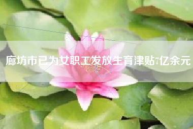 廊坊市已为女职工发放生育津贴7亿余元