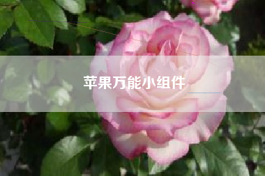 苹果万能小组件