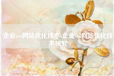 企业seo网站优化技术-企业seo网站优化技术研究