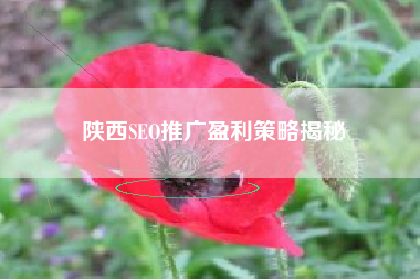 陕西SEO推广盈利策略揭秘